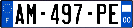 AM-497-PE