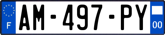AM-497-PY
