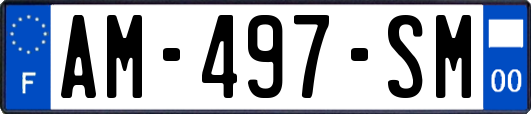 AM-497-SM