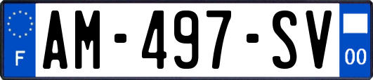 AM-497-SV