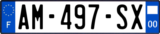 AM-497-SX