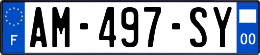 AM-497-SY