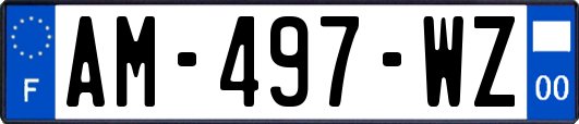 AM-497-WZ