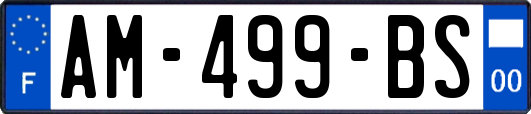 AM-499-BS