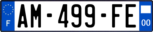 AM-499-FE
