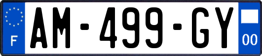 AM-499-GY