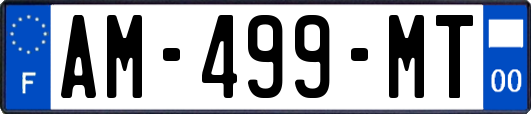AM-499-MT
