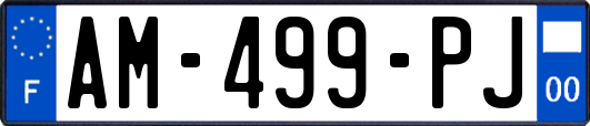 AM-499-PJ