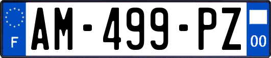 AM-499-PZ