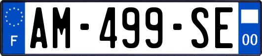 AM-499-SE