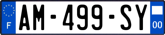 AM-499-SY
