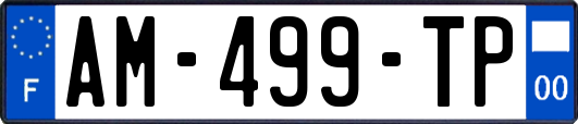 AM-499-TP