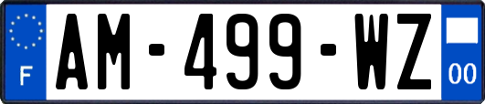 AM-499-WZ