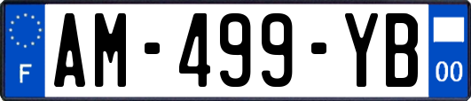 AM-499-YB