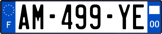 AM-499-YE