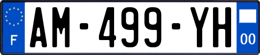 AM-499-YH