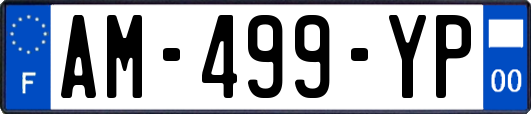 AM-499-YP