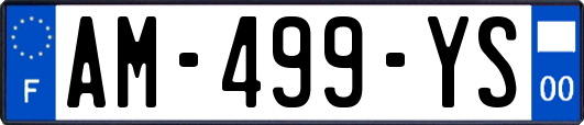 AM-499-YS