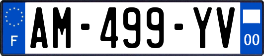 AM-499-YV