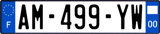 AM-499-YW