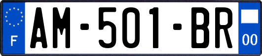 AM-501-BR