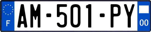 AM-501-PY