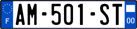 AM-501-ST