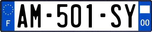 AM-501-SY