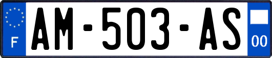 AM-503-AS