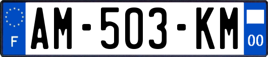 AM-503-KM