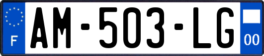 AM-503-LG