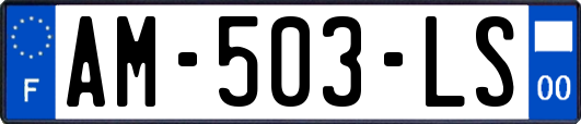 AM-503-LS