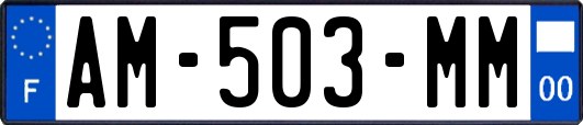AM-503-MM