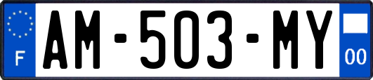 AM-503-MY