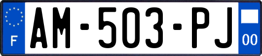 AM-503-PJ