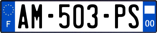 AM-503-PS