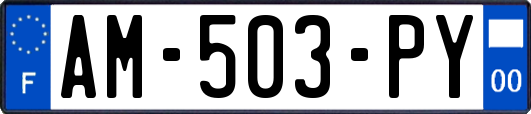 AM-503-PY