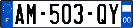 AM-503-QY