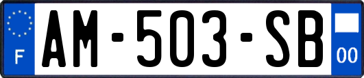 AM-503-SB
