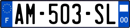 AM-503-SL