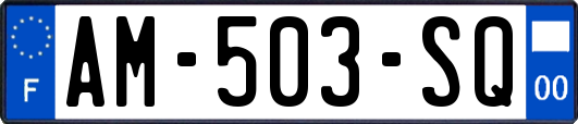 AM-503-SQ