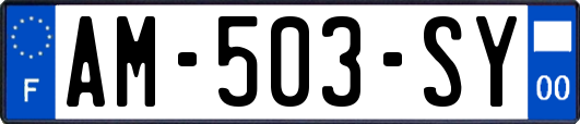 AM-503-SY
