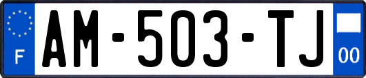 AM-503-TJ