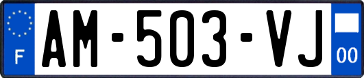 AM-503-VJ