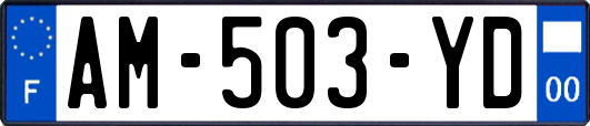 AM-503-YD