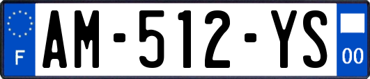 AM-512-YS