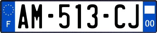 AM-513-CJ