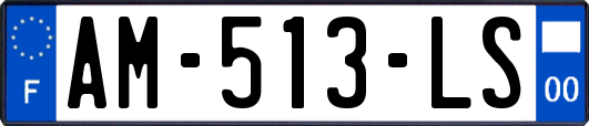 AM-513-LS