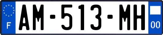 AM-513-MH