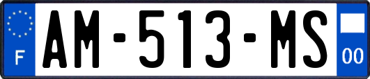 AM-513-MS